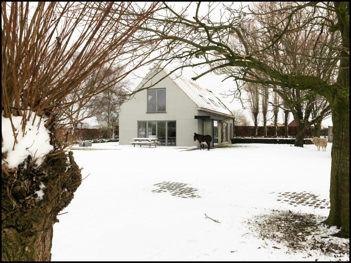 Rooseboom22 Bed & Breakfast Aartrijke Екстериор снимка